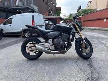 hornet 600