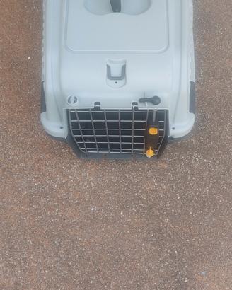 Borsa rigida viaggio gatti