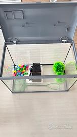 Acquario Zolux 25 litri completo di accessori