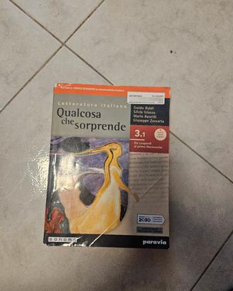 Qualcosa che sorprende 3.1