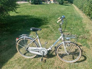 bici pieghevole 