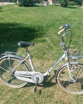bici pieghevole 