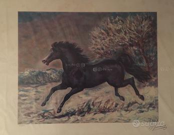 Giovan Francesco Gonzaga