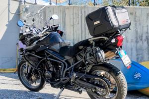 Triumph Tiger 