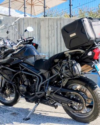 Triumph Tiger 