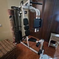 Palestra 