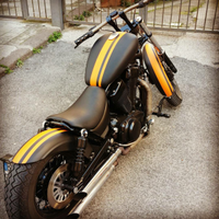 Suzuki intruder 1400