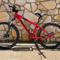 Bici bambino 24” rockrider