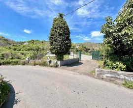 Rif.DB15| terreno agricolo mascali