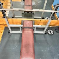 Panca Piana technogym