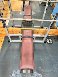 Panca Piana technogym