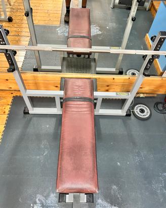 Panca Piana technogym