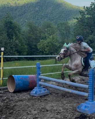 Kit per salto ostacolo