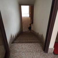 Appartamento nn 384/2018