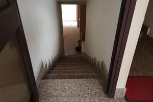 Appartamento nn 384/2018