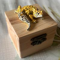 Portagioie scultura geco leopardo