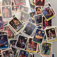 Card WWF WRESTLING anno 1991.