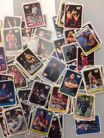 Card WWF WRESTLING anno 1991.