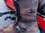 Immagine 5