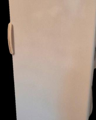 Congelatore verticale Whirlpool  monoporta bianco