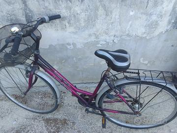 bicicletta 