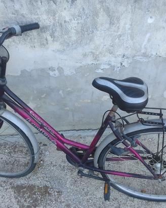 bicicletta 