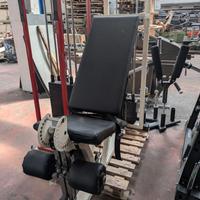 Leg extension Technogym