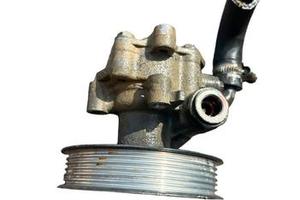 Pompa Idroguida 1900 TDI 115 Cavalli Sharan