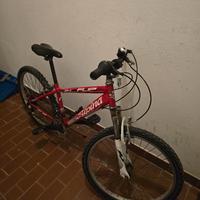 bici mtb ragazzi 
