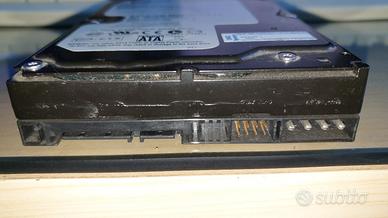 Hard disk Wd da 160 Giga