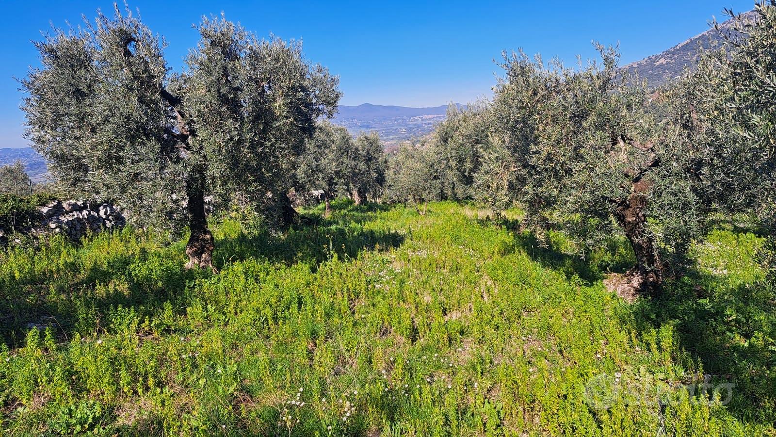 Terreno agricolo - Vista 2