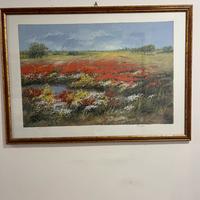 Stampa :Campo di papaveri