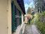 Immagine 11