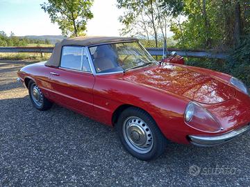 ALFA ROMEO SPIDER 1600 (osso di seppia) anno 1966