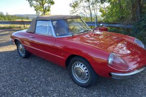 ALFA ROMEO SPIDER 1600 (osso di seppia) anno 1966