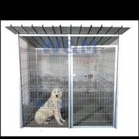 Box per cani A245