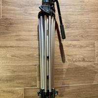 Manfrotto treppide #028 e testa video #136