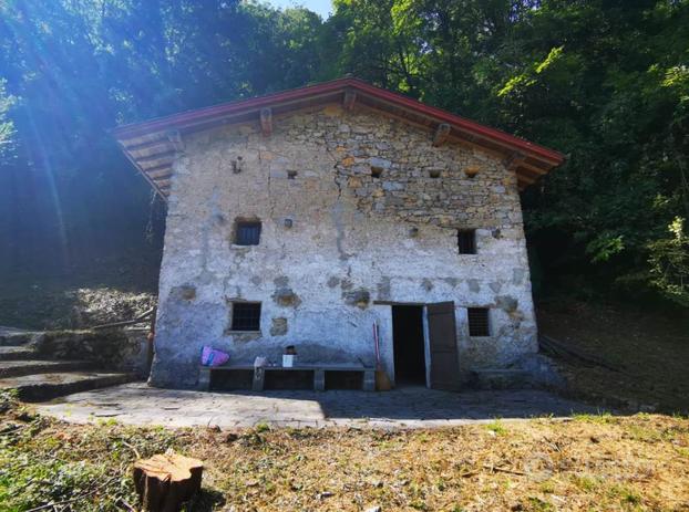 Cascina in pietra con terreno boschivo