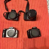 Canon 300D 350D stock