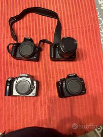 Canon 300D 350D stock