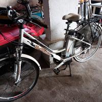 bicicletta 