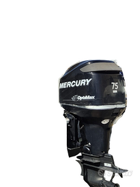 Motore Mercury 75 L Optimax