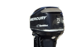 Motore Mercury 75 L Optimax