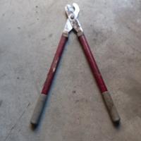 forbici  tagliasiepe trancia rami 