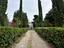 Immagine 23