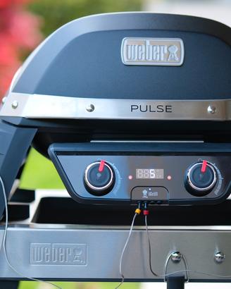 Weber Pulse 2000