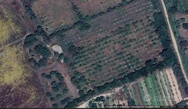 Area edificabile Oristano-Donigala Fenughedu