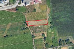 S1 - terreno agricolo via firenze