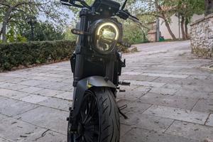 LEONCINO BENELLI 250