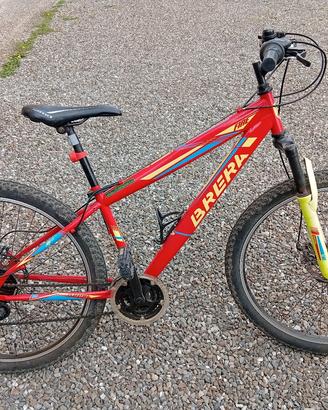 bicicletta Brera 